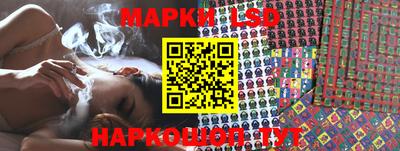 гидропоника Сланцы