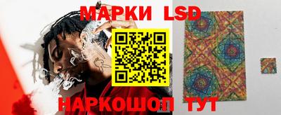 гидропоника Сланцы