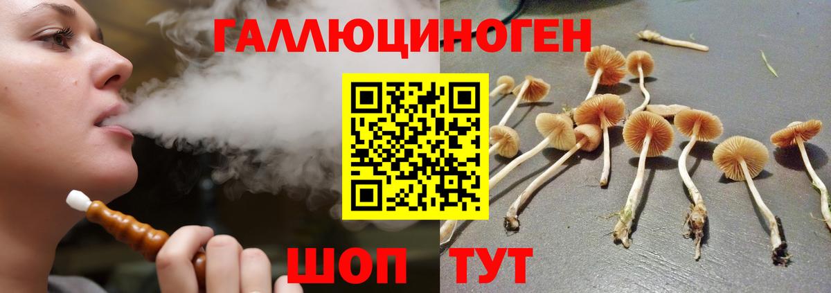 Галлюциногенные грибы прущие грибы Якутск