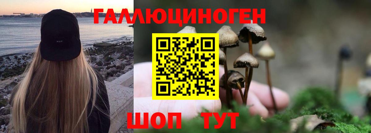 Псилоцибиновые грибы Psilocybine cubensis  Вход с VPN  Якутск  Псилоцибиновые грибы MAGIC MUSHROOMS 